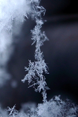 雪の結晶　雪の糸