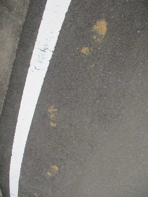 世阿弥の言葉 晴 陶 句 読 楽天ブログ