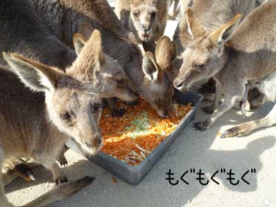 ひびき５.JPG