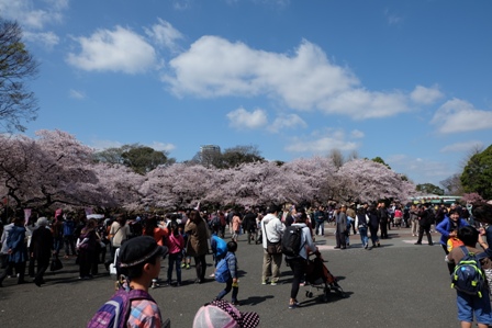 20150402-ueno.jpg