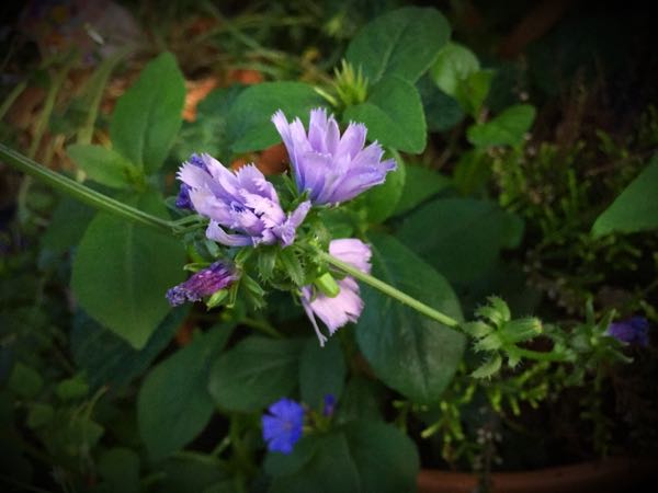 rblog-20160710211846-08.jpg