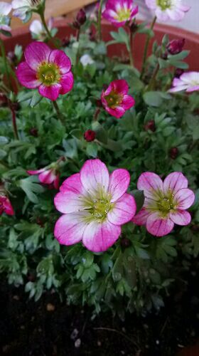 rblog-20170301143445-01.jpg