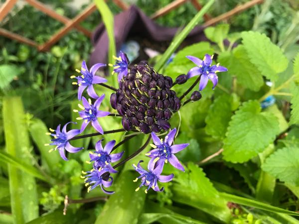 rblog-20180429182251-04.jpg