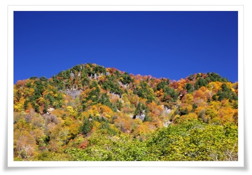 中宮展示館-2 猿ヶ浄土 14.10.25