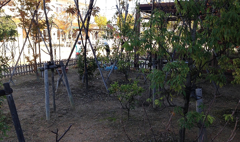 2013.11.21 ながかみ保育園2.jpg