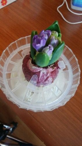 rblog-20180109030614-03.jpg