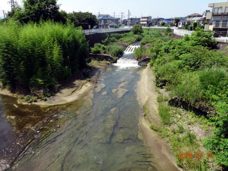 川口川.jpg