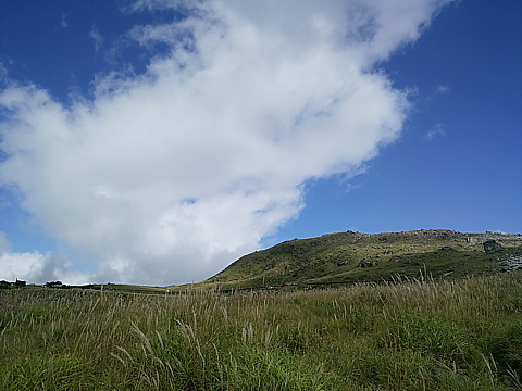 IMG_20161010_131711.jpg