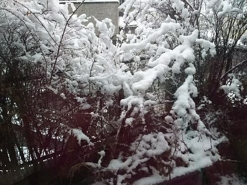rblog-20180122180657-07.jpg