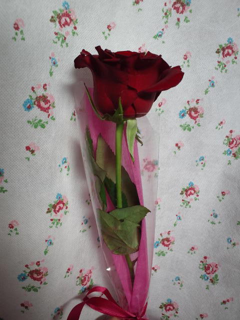 セクゾン　バラ　２