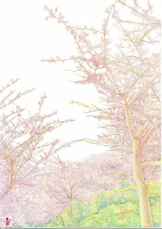 河津桜.jpg