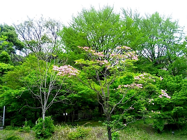 120426_132657.jpg