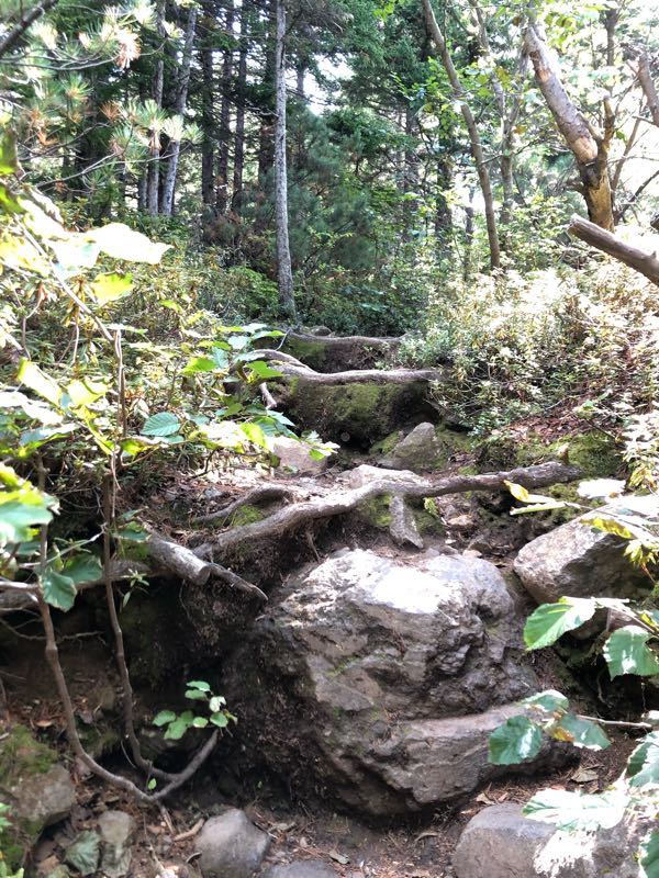 rblog-20180918223700-01.jpg
