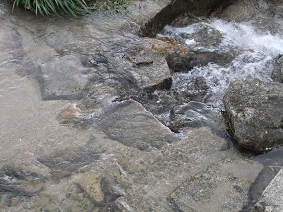 DSCF2832.jpg