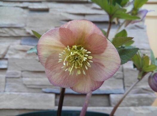 rblog-20140323175427-03.jpg