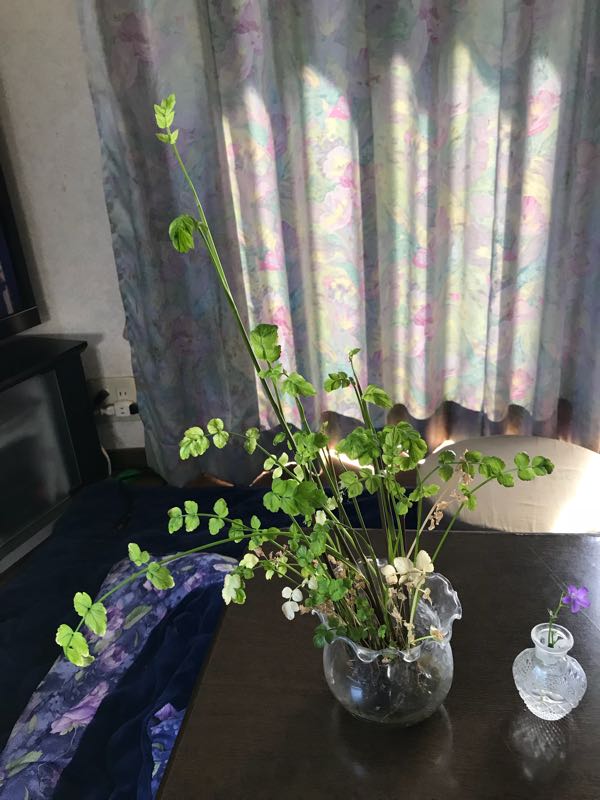 rblog-20180428160653-08.jpg