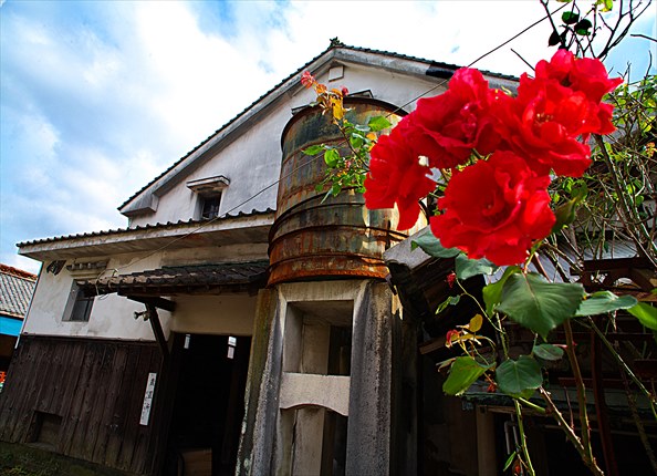 6.牟田酒造のバラ_R.jpg