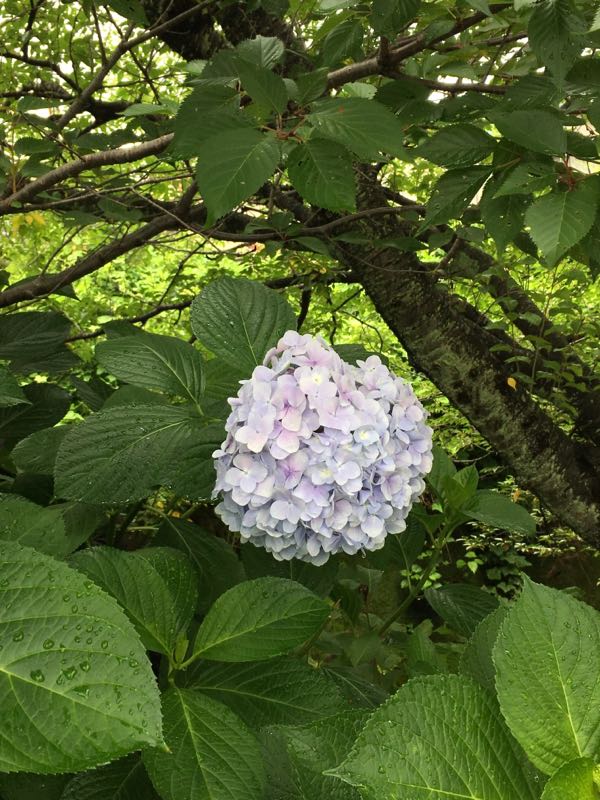 rblog-20160623193747-03.jpg