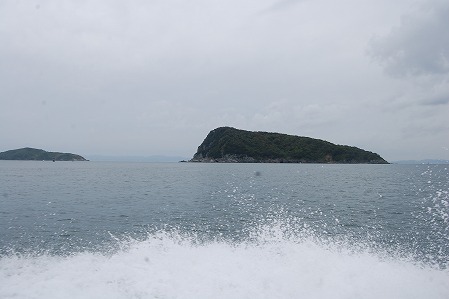 DSC_0970.jpg
