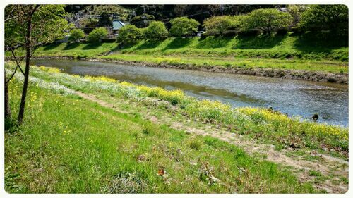 rblog-20160325155124-01.jpg