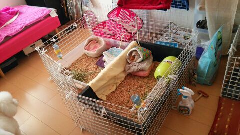 rblog-20141215233132-00.jpg