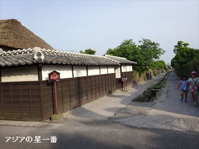 20160523 有明湾干潟4