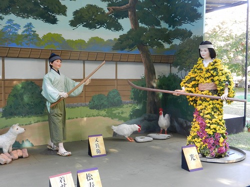 DSCN5241.jpg