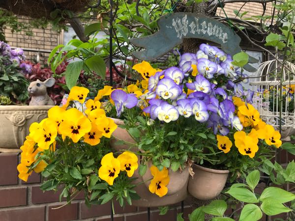 rblog-20190423182339-02.jpg