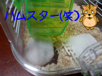 P3300015.png