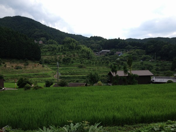 4実家山３6007月.jpg