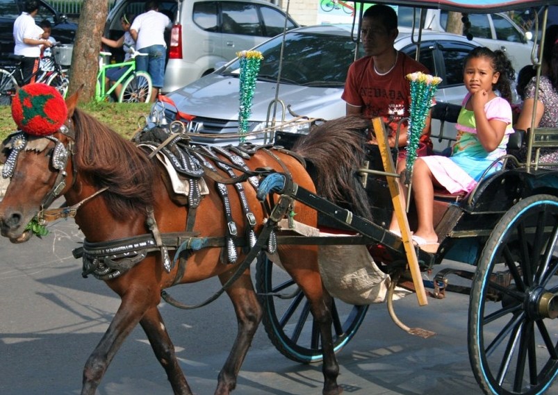 Andong.jpg