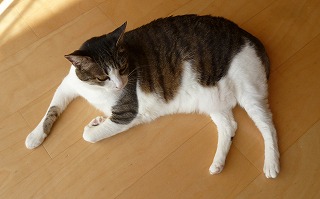 P1170002-ass.jpg