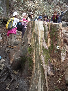 DSCN0022.jpg