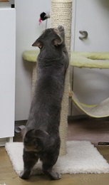 5DA_3372-29.jpg