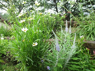 IMG_5840ss.jpg