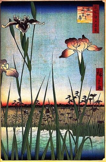 4.広重・堀切の花菖蒲.jpg