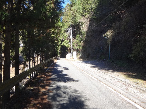 DSC07482.JPG