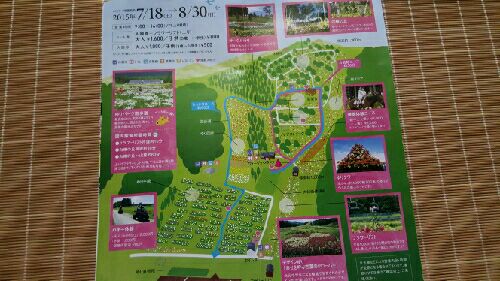 rblog-20150816204728-02.jpg