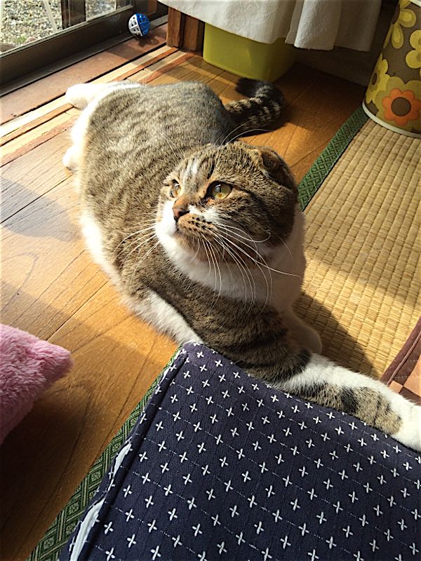rblog-20150322191523-02.jpg