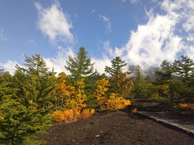 DSC_0526.jpg
