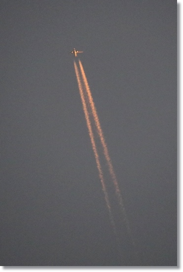 普正寺海岸-11 15.8.7