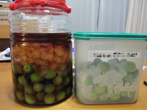 umetukuri