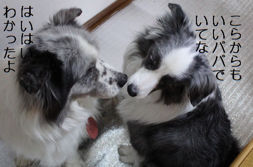 はいはい