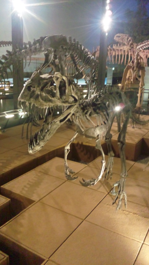 ケラトサウルス