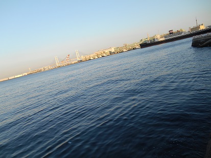 DSCN1022.JPG