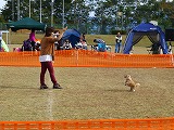P1010205.jpg