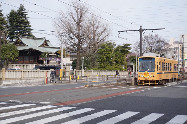 都電 7000形 さよなら 青帯2