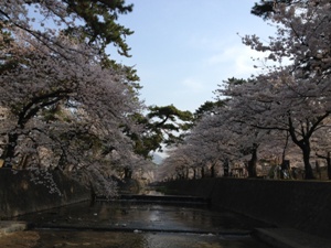 Shukugawa.JPG