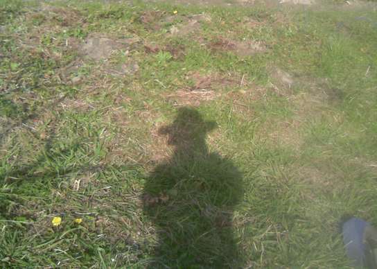 P151226-2