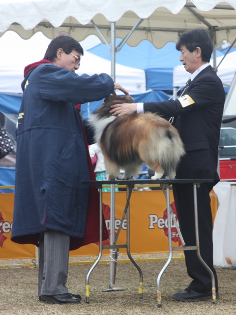 IMG_0825 - コピー.JPG